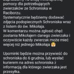 Zostań Świętym Mikołajem