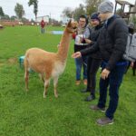 Wycieczka do "Przystani Alpaka" w Miedźnej