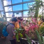 Wycieczka do Palmiarni