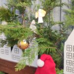 "Zostań świętym Mikołajem dla potrzebujących zwierząt" – podsumowanie akcji.