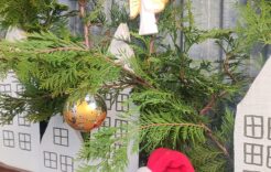 Więcej o: „Zostań świętym Mikołajem dla potrzebujących zwierząt” – podsumowanie akcji.