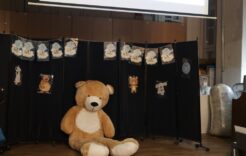 Więcej o: Dzień Misia w świetlicy szkolnej