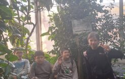 Wycieczka do Palmiarni