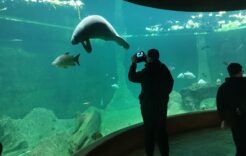 Wycieczka do ZOO we Wrocławiu