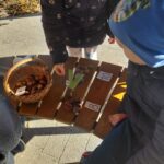 Kreatywna matematyka