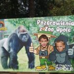 Pierwszaki na wycieczce w ZOO w Opolu