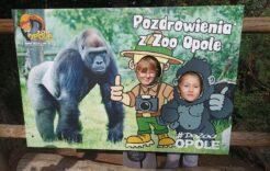 Pierwszaki na wycieczce w ZOO w Opolu